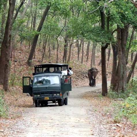 Canter Safari Booking